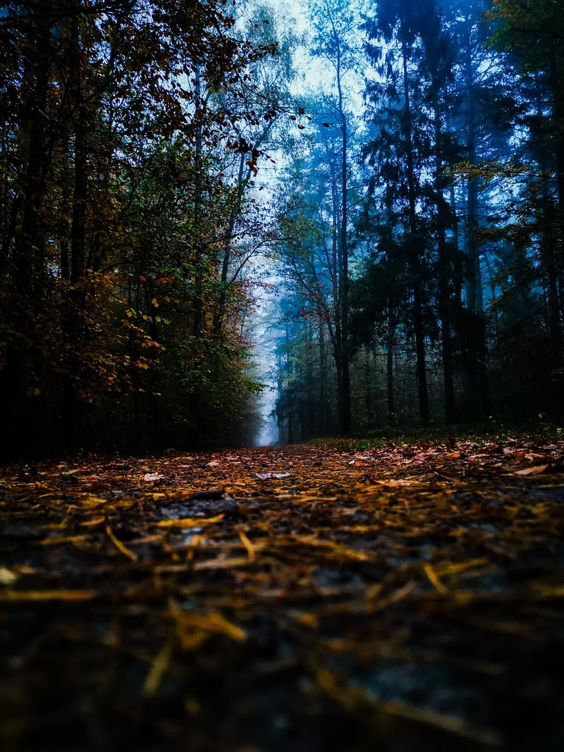 Mulch