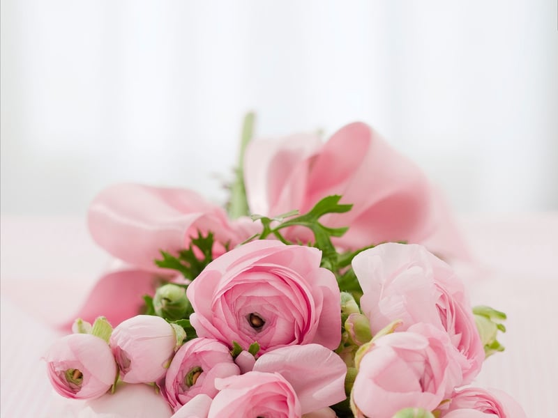Flower Garden